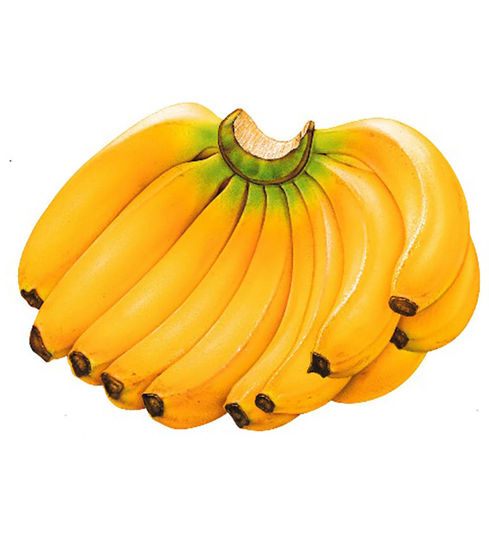 Изображение Бананы